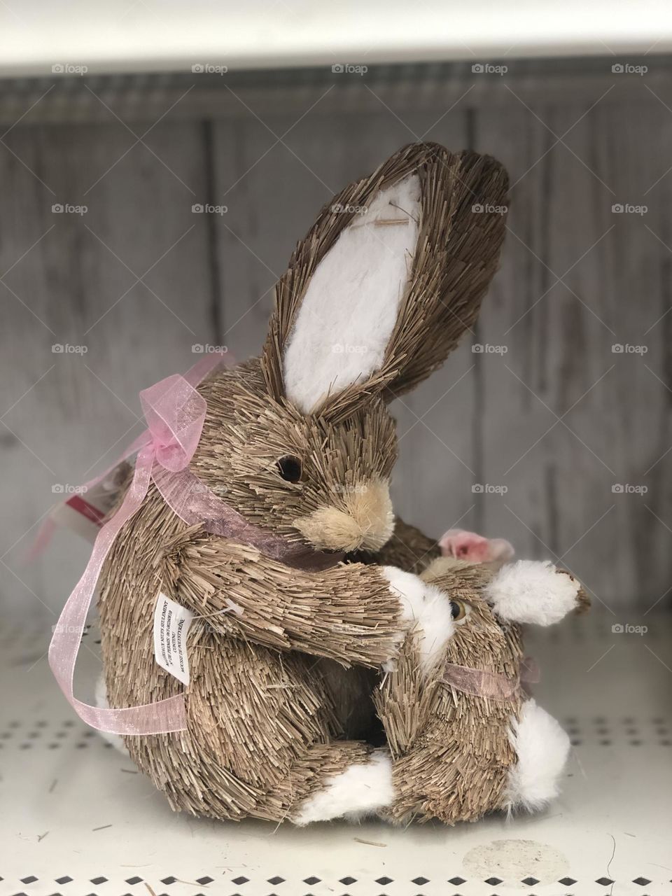 The year of rabbits 🐇