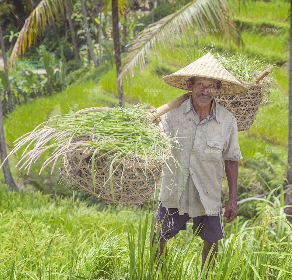 Bali