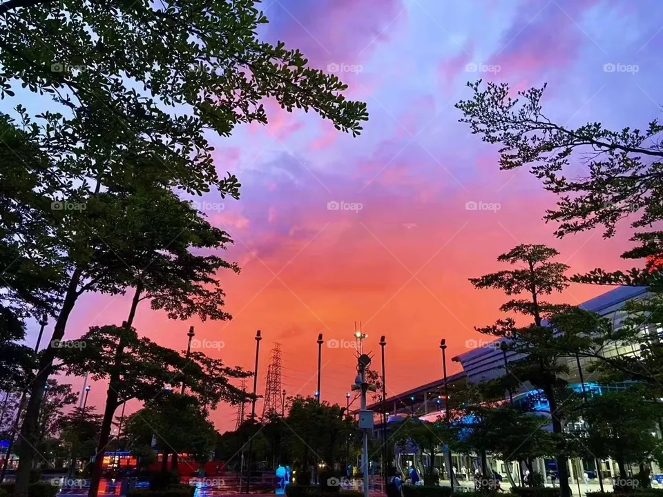 Pink Sky
