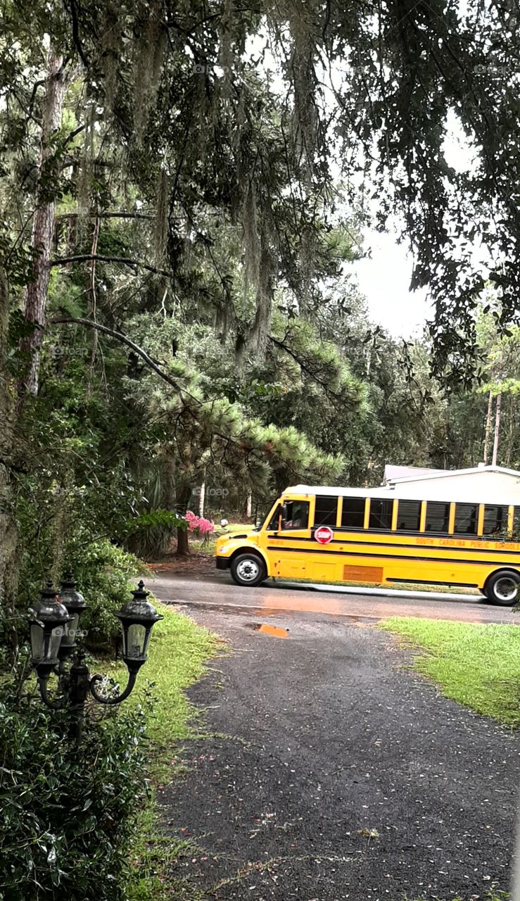 I thought these were extinct. glad I was wrong. looks like some kids are attending an actual classroom.