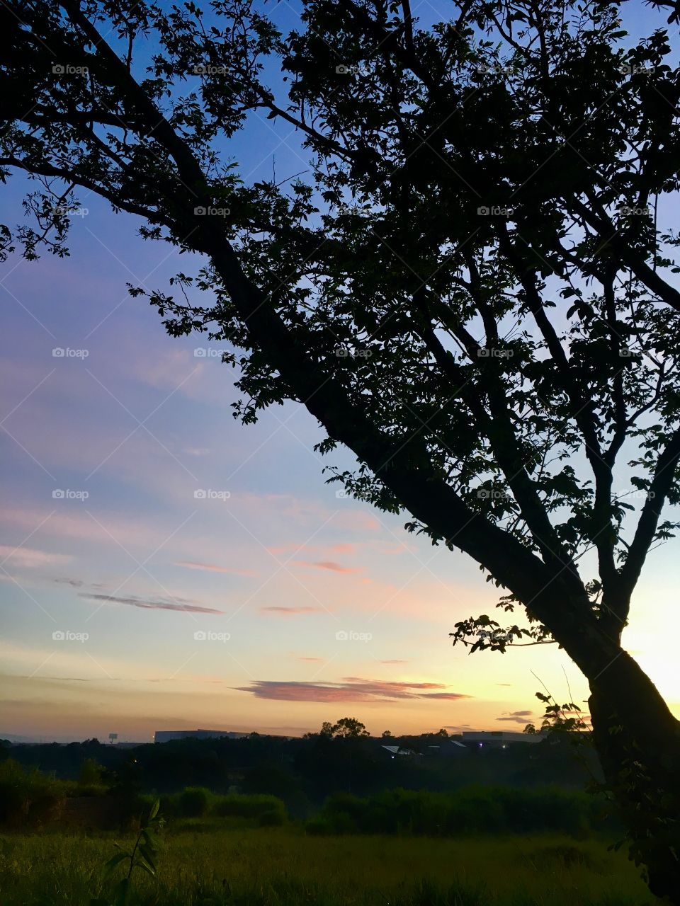 🌅Desperte em #cores, #Jundiaí. 
Que o #sábado seja muito bom!
🍃
#sol #sun #sky #céu #photo #nature #morning #alvorada #natureza #horizonte #fotografia #pictureoftheday #paisagem #inspiração #amanhecer #mobgraphy #mobgrafia #AmoJundiaí