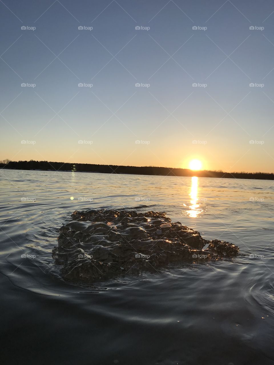 Floe on the background of the sunset.  Sunset on the river in the spring.