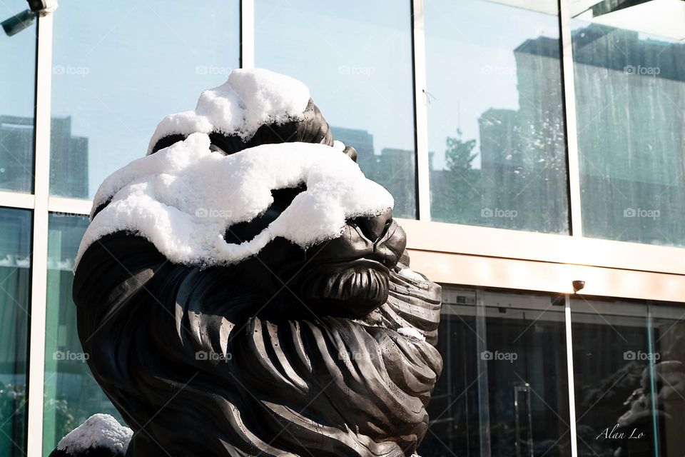 Lion statue covered by snow