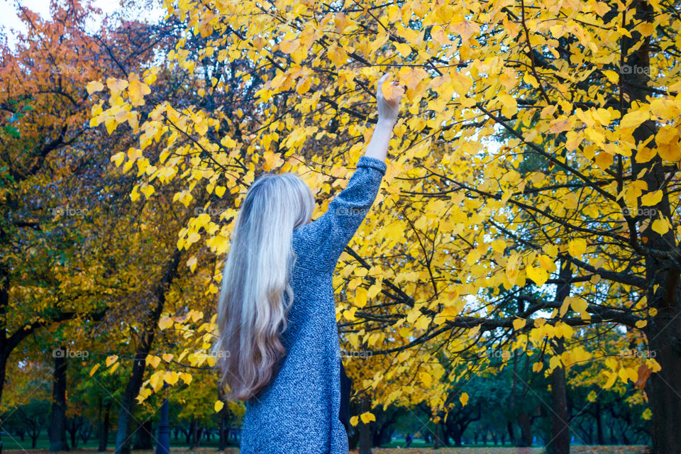 girl is touching hands with yellow leaves on a tree in the park