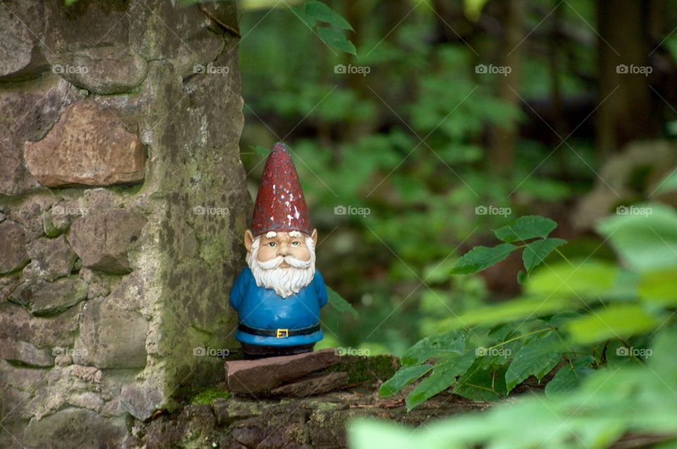 The gnome is the guardian of this old foundation. Rain, sleet or snow the garden gnome keeps watch over the back 40. 