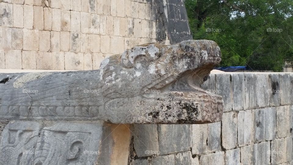 Mayan rattle snake
