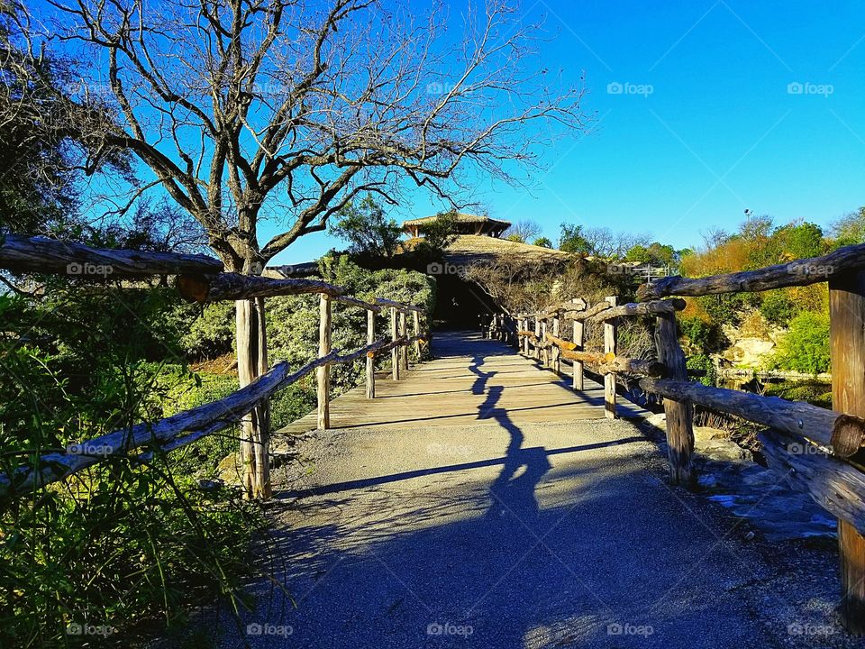 Japanese Tea Gardens - San Antonio