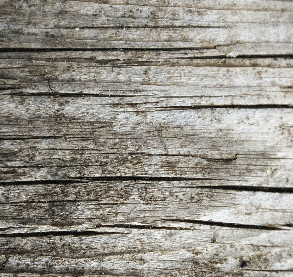 wood texture