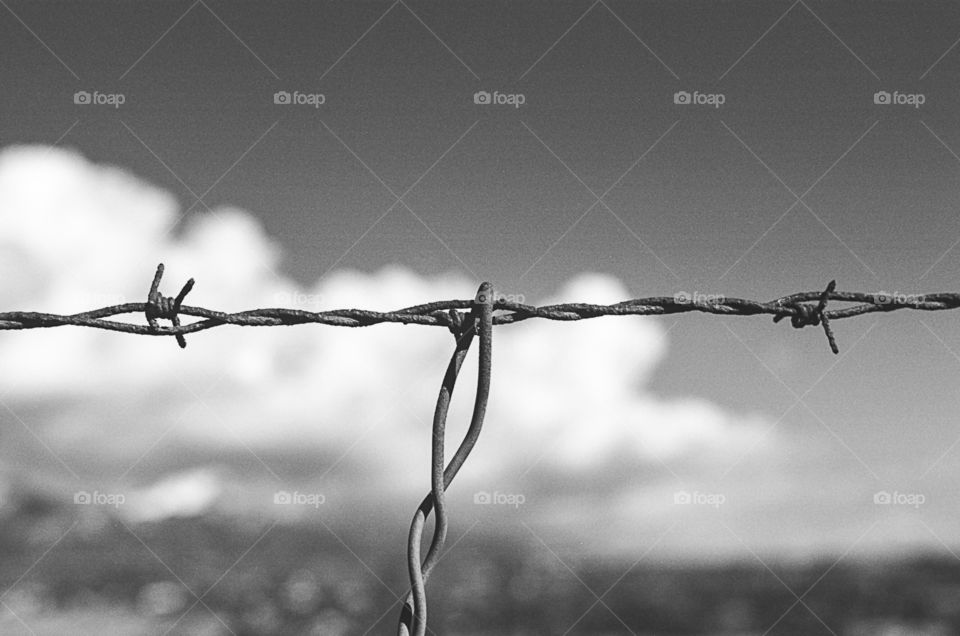 Barbed wire at San Marcos Pass