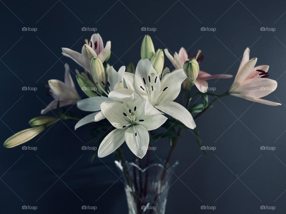 lilies in a vase 