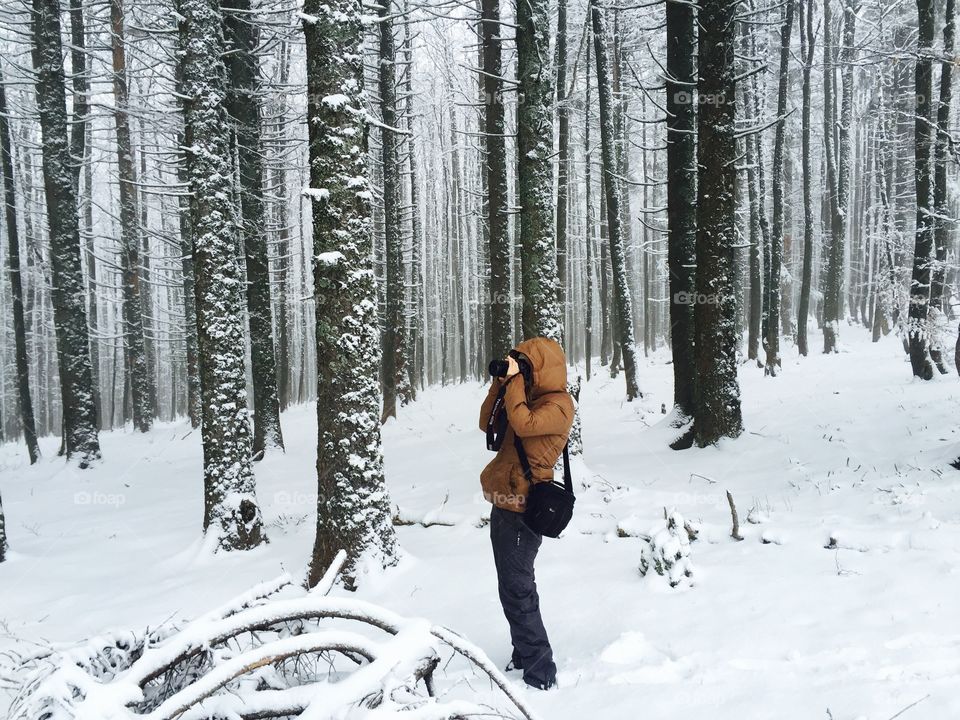 Photographer in magical Forest during winter