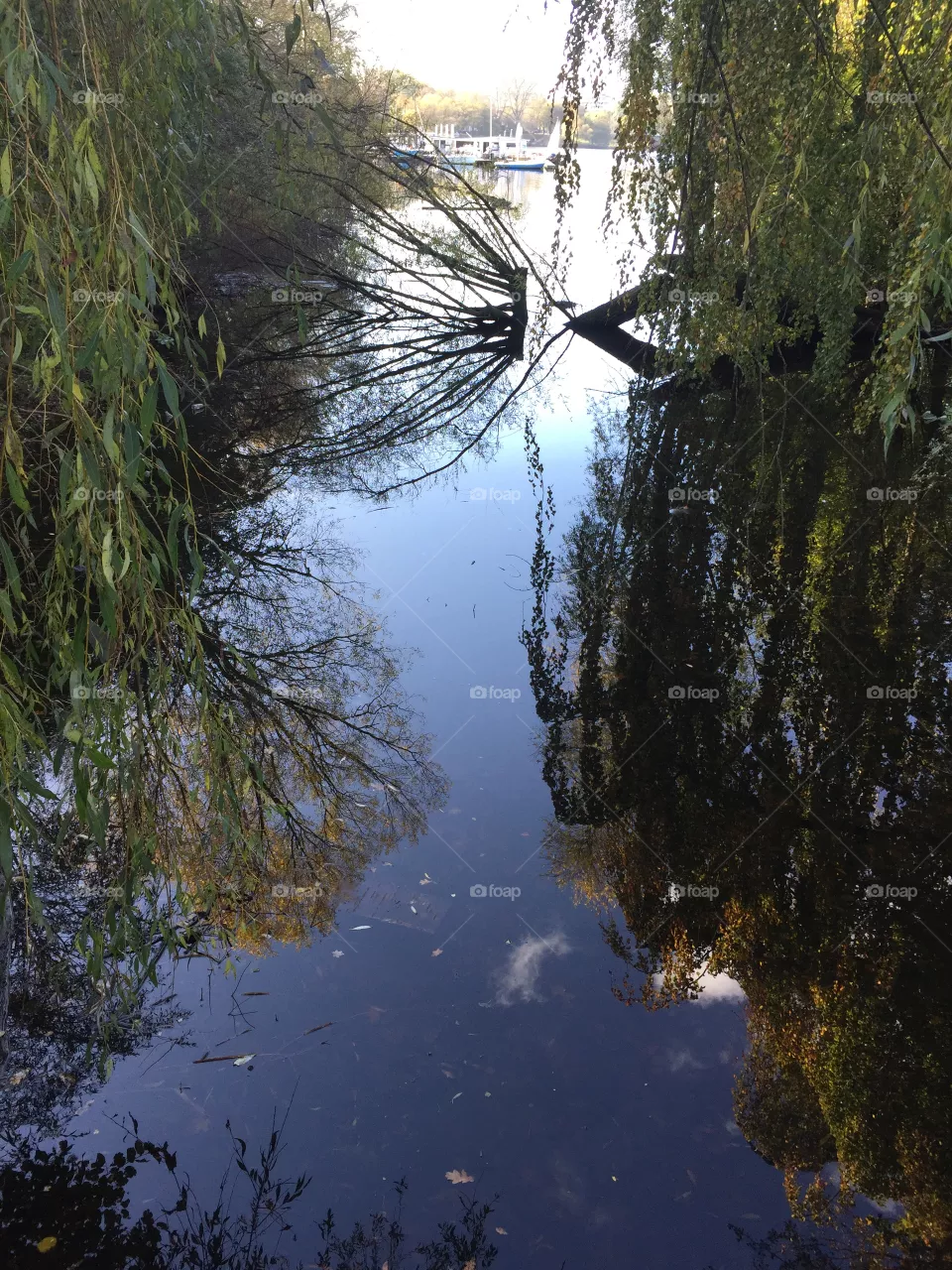Lake
