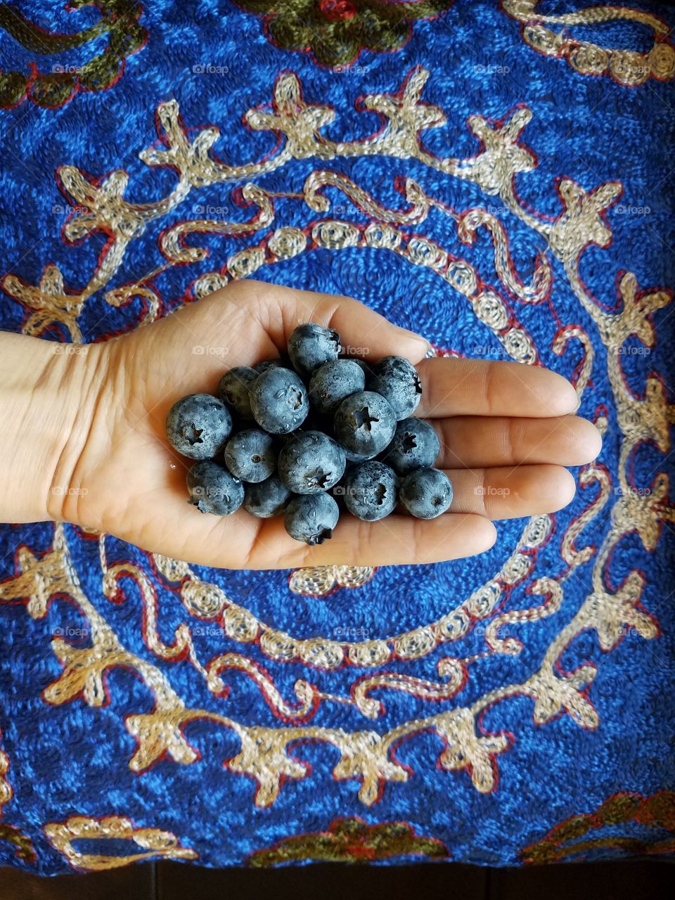 High angle view of blueberry in hand