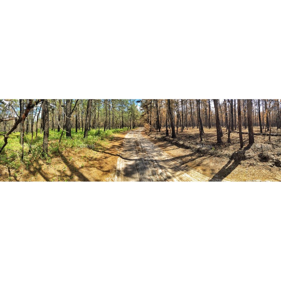 Fire on one side green on the other