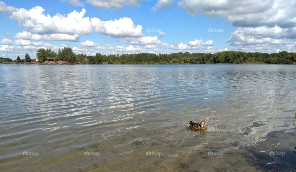 lake landscape summer time blue sky background