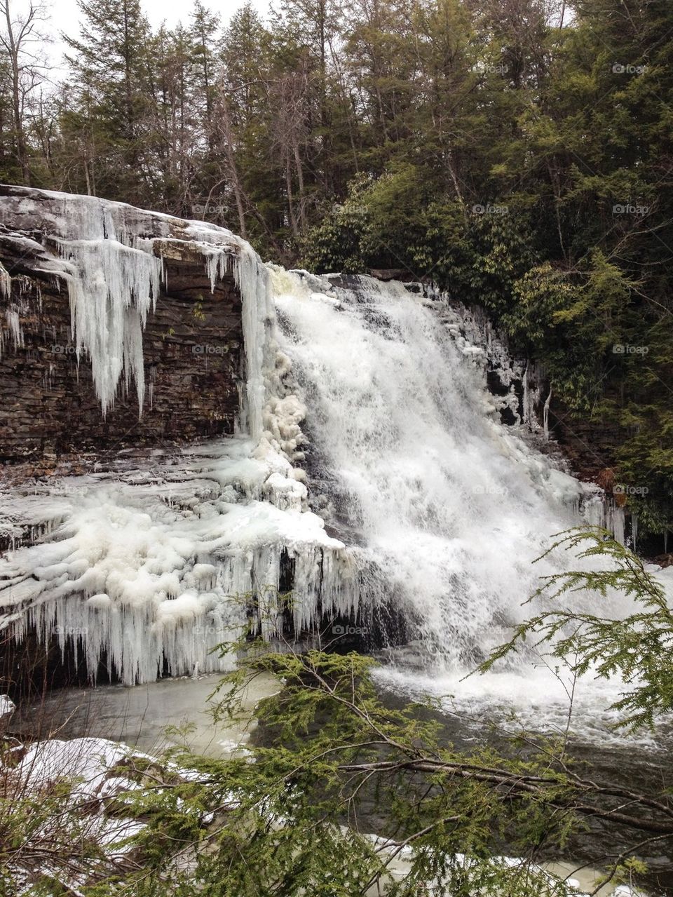 Icicles, waterfall, branches