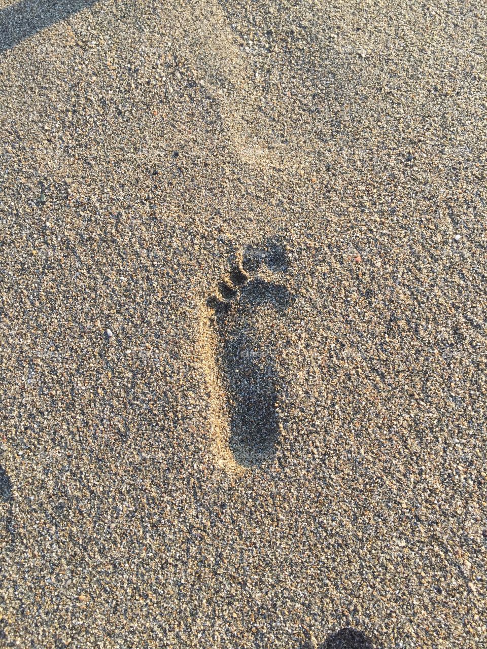 Footprint on the sand