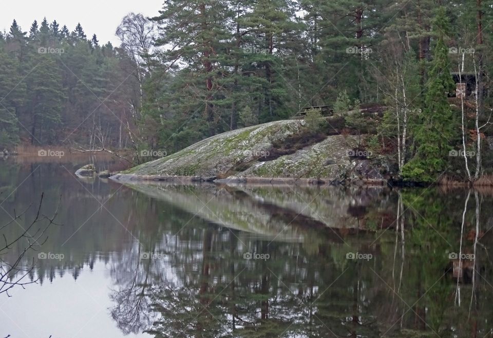 Skogssjö