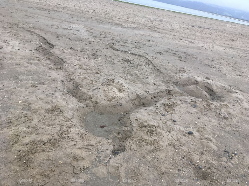 Beach imprint 