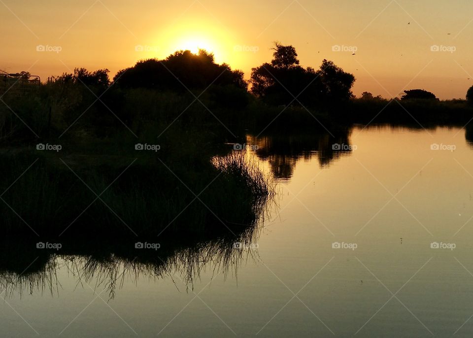 Sunset lake 