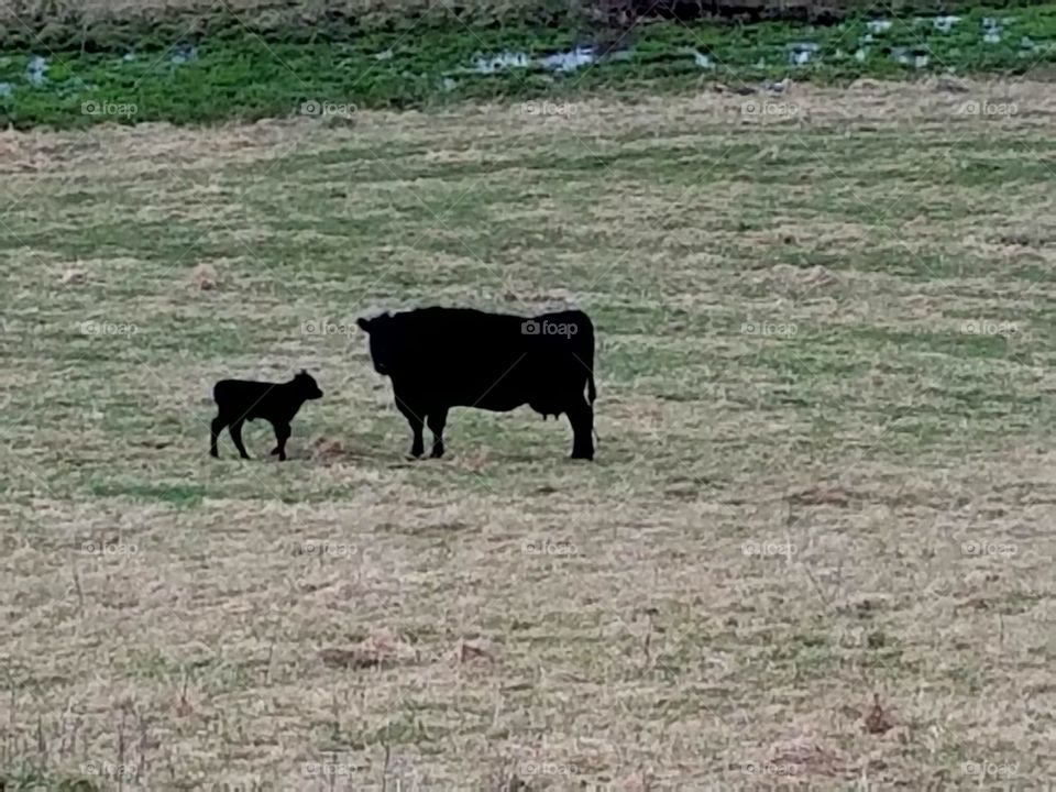 Driving the  back Roads enjoying everything around us