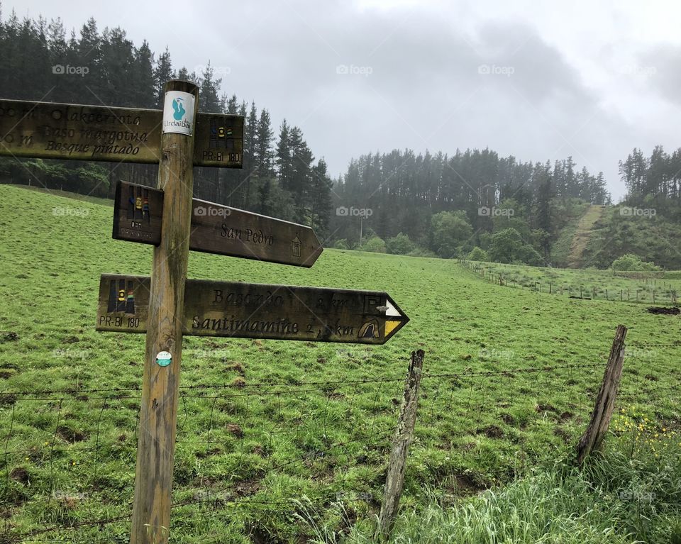 Rainy day in Kortezubi 💧