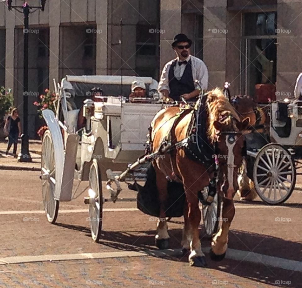 Carriage driver