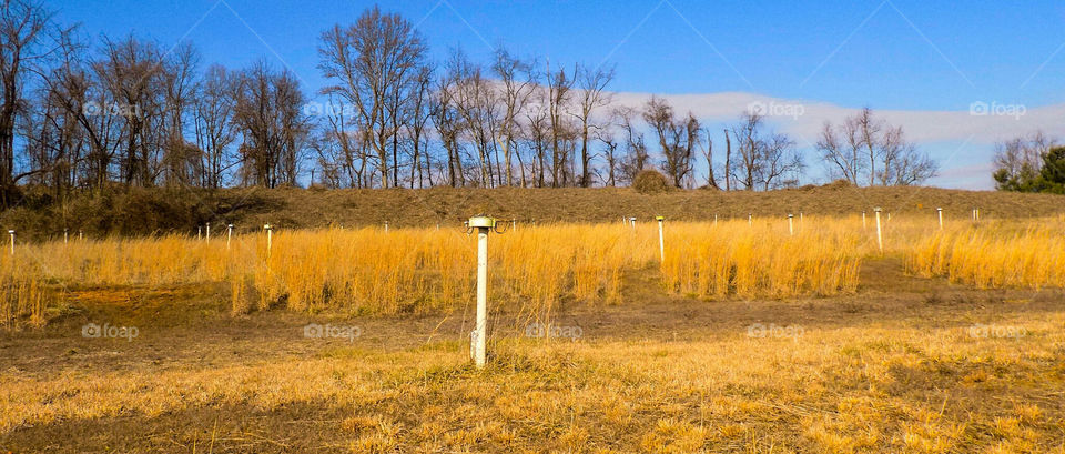 Empty Drive In Theater