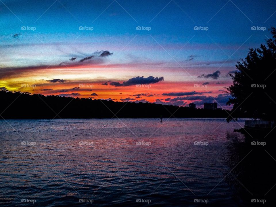 Scenic view of nature