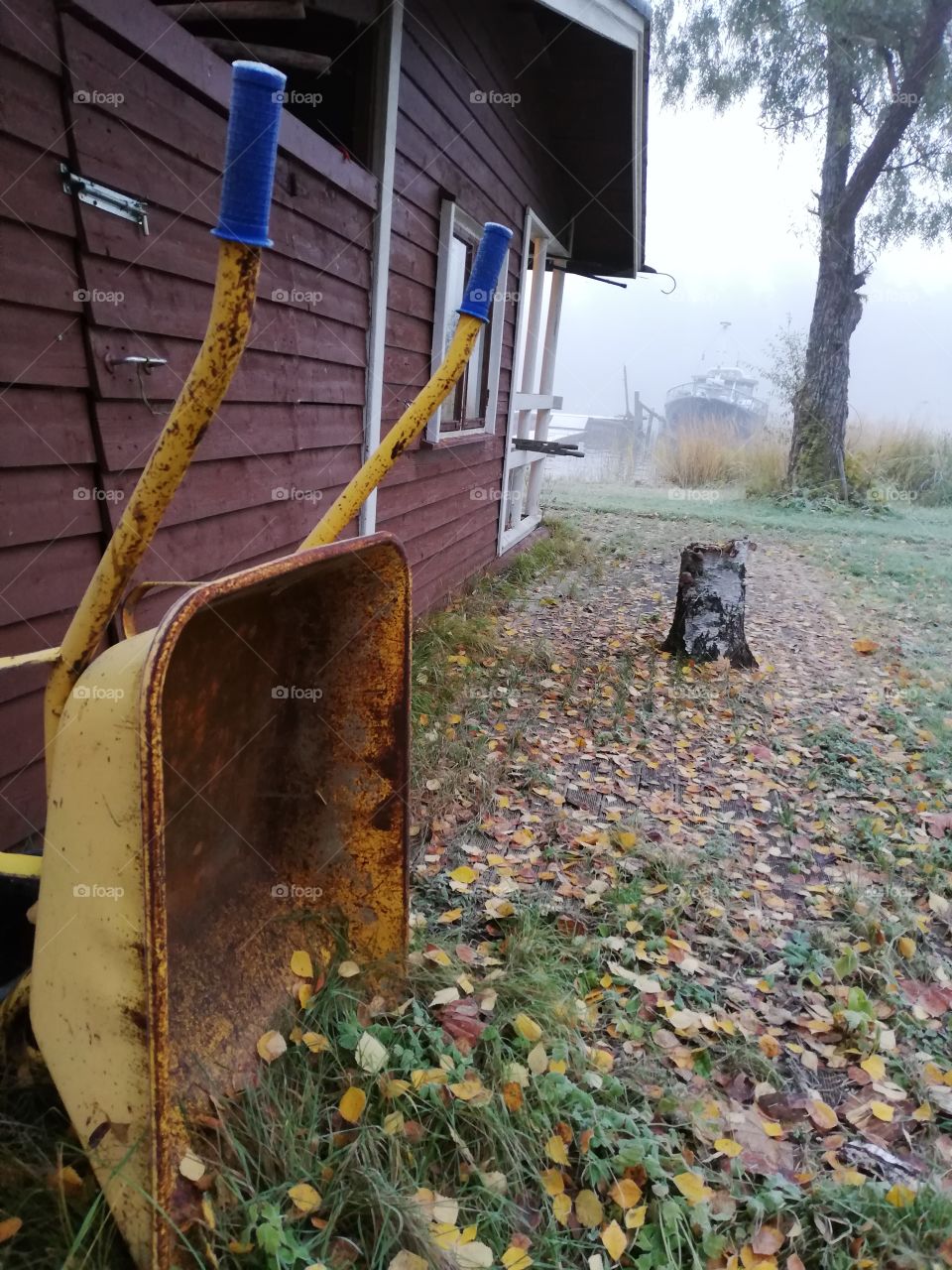 A yellow rusty wheelbarrow on the side of a red lake side sauna. The building is made of board, the window frames and the edge of the roof are white. The fallen birch leaves around the stump.