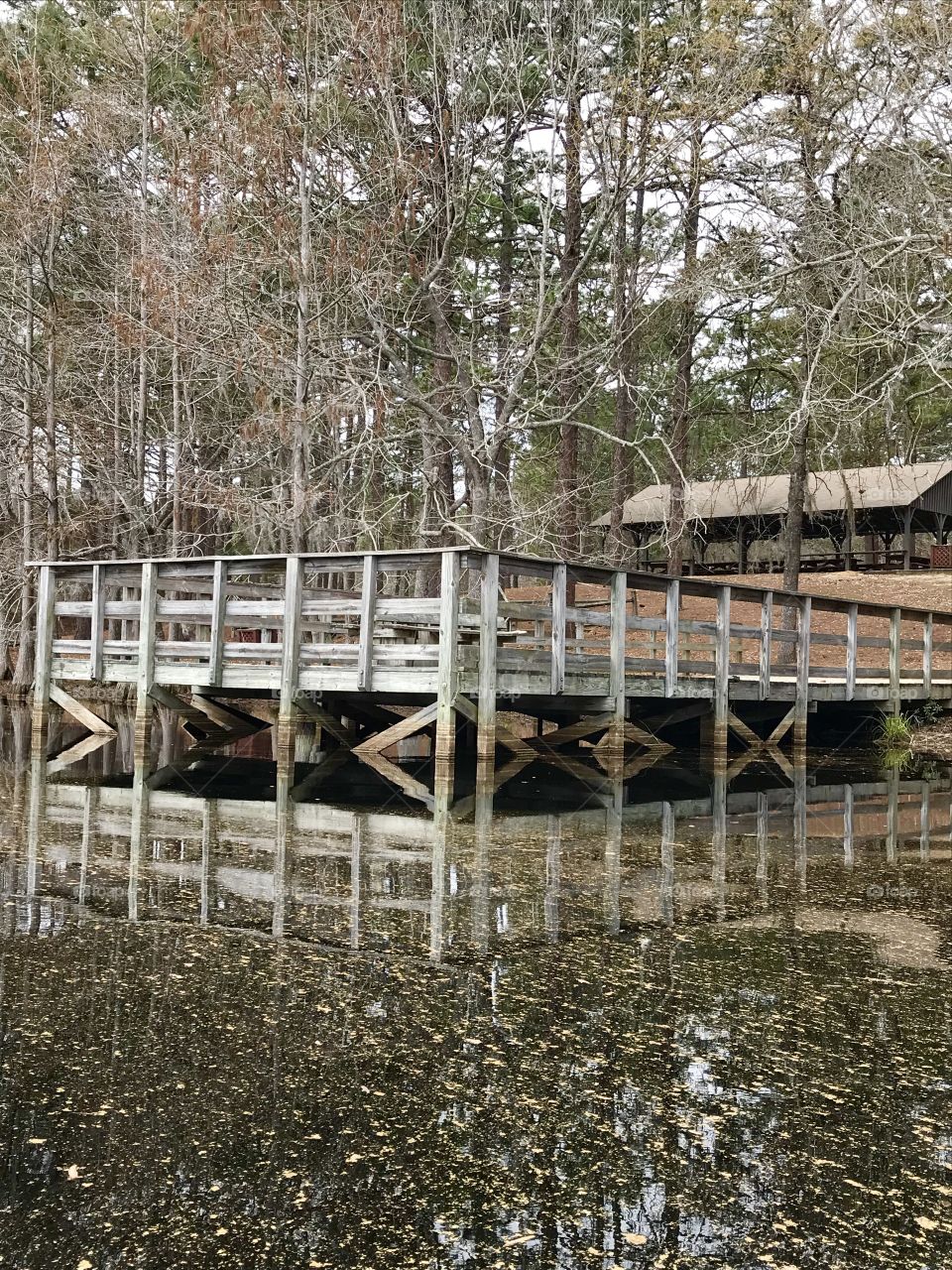 A fishing pier and cabin views from a kayak