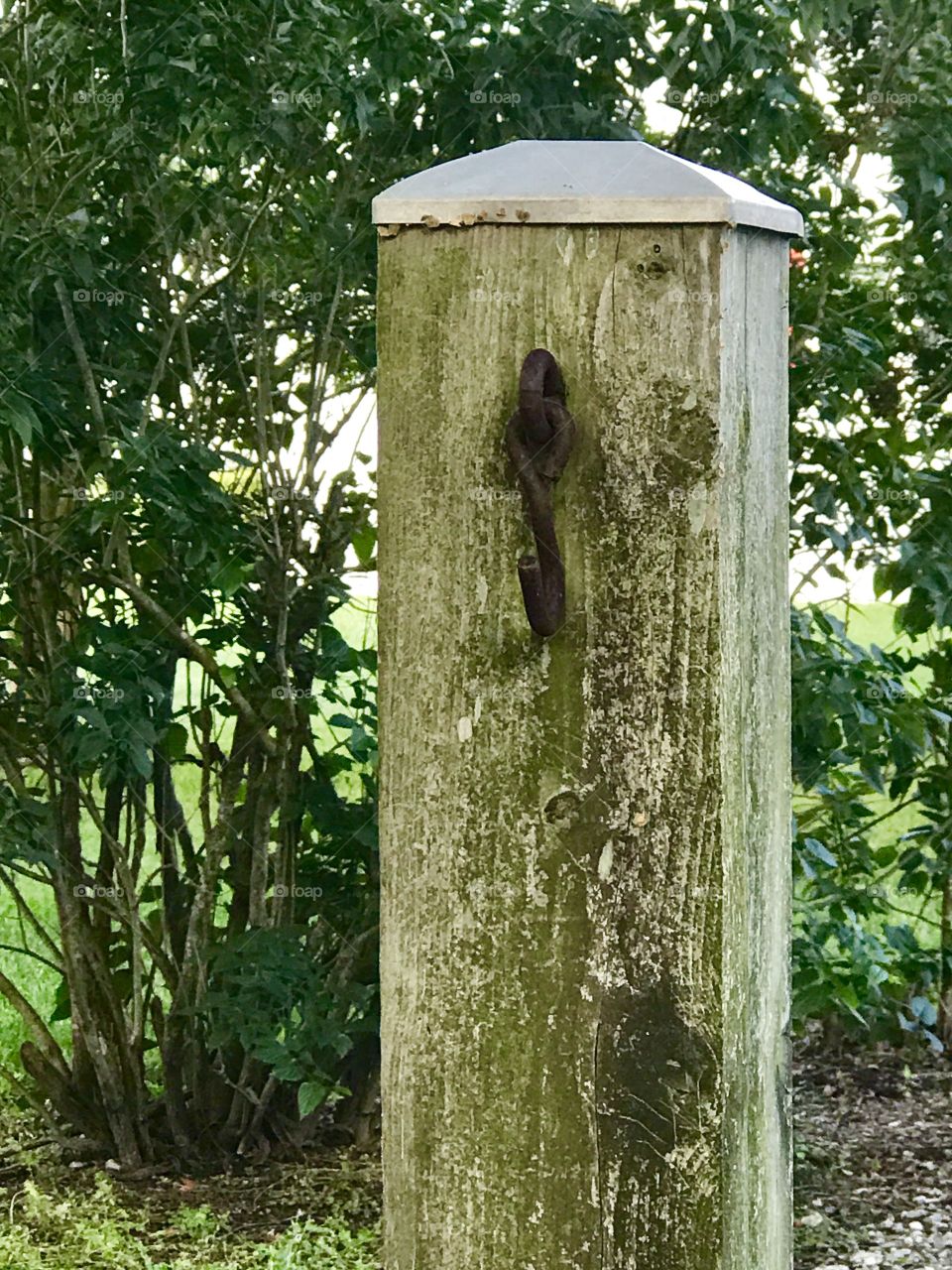 Weathered beam in a garden 