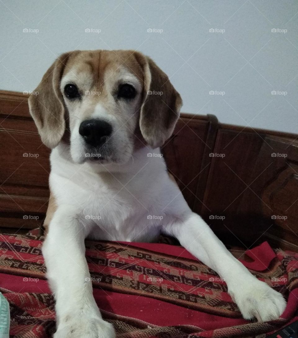 posando para la foto # posing for photo