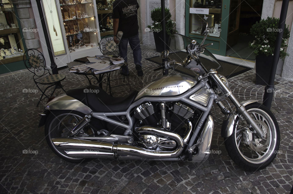 Silver Hog. Chromed Harley