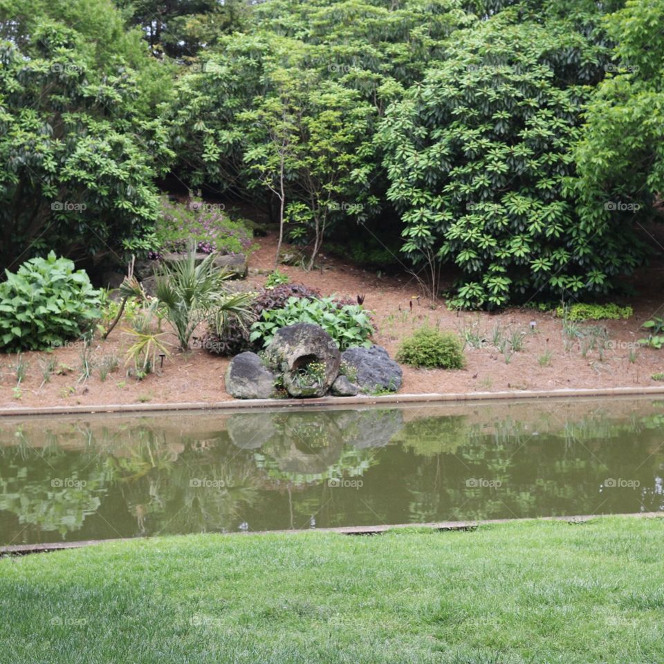 Funny Looking Rocks on Water's Edge