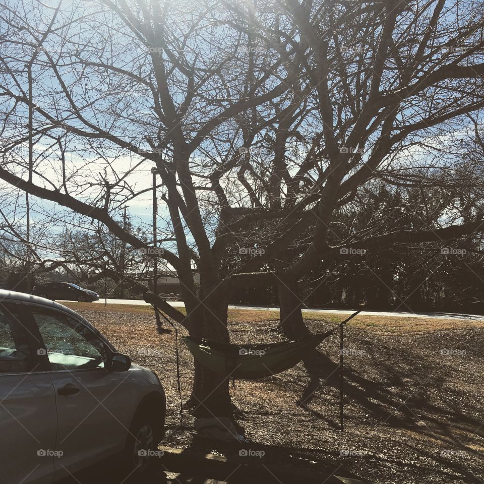 Chilling in my hammock 