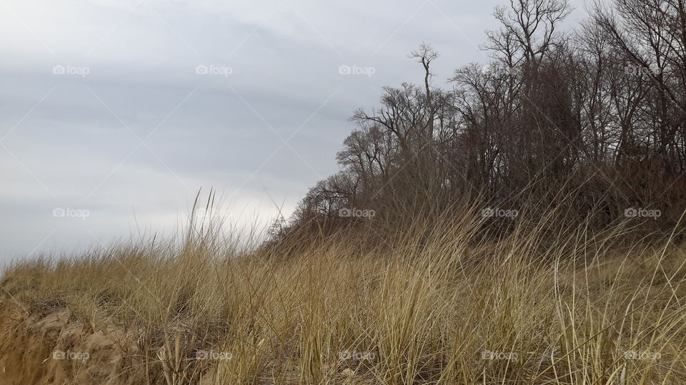 Pier Cove. Pier Cove in Saugatuck, Mi.