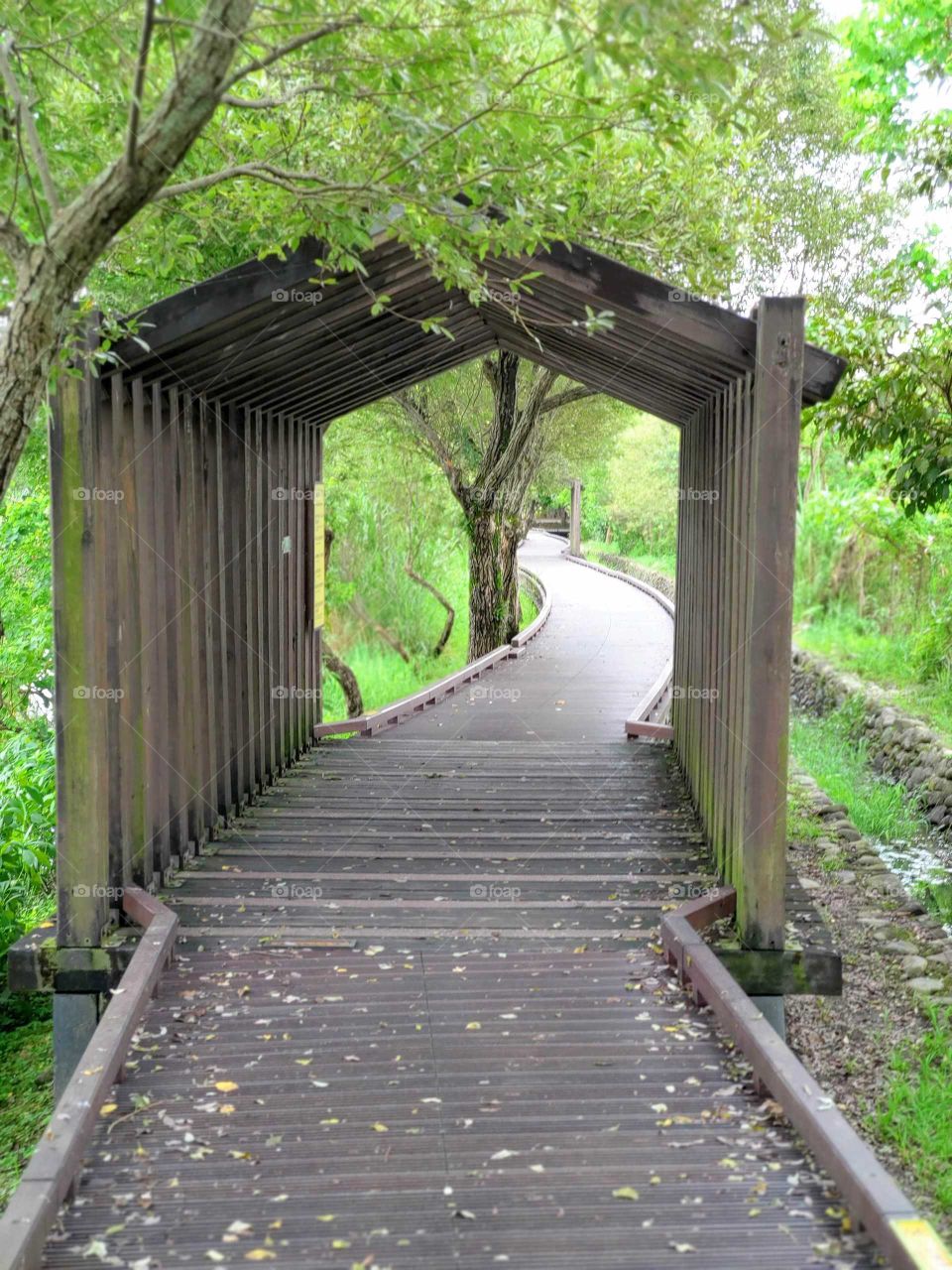 The walking trail of Luodong Forestry Culture Park.