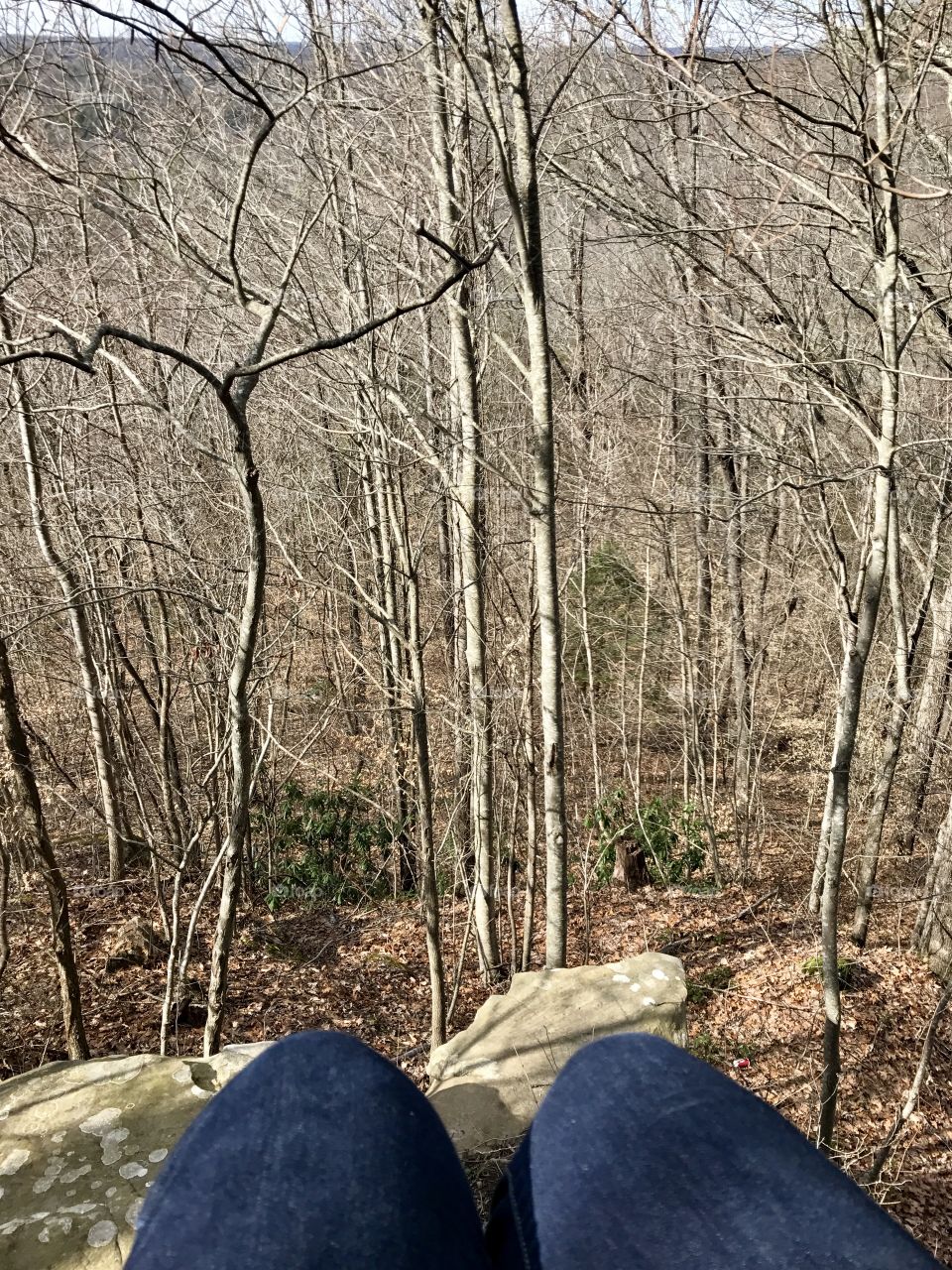The knees of a girl sitting on a ledge looking into a Kentucky forest in early spring 