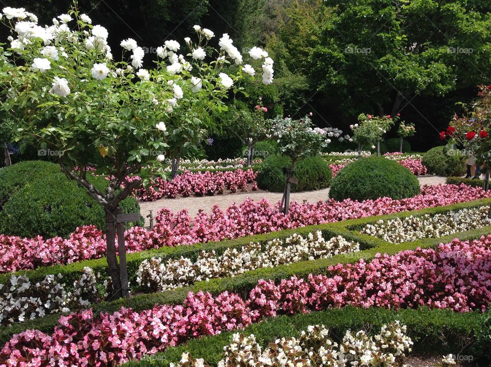 Filoli Gardens, California Historical Landmark