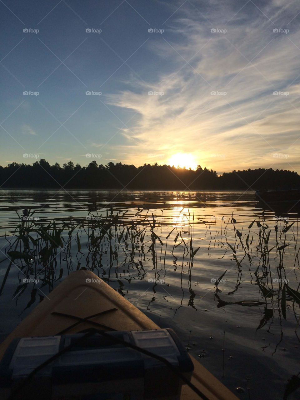 I'm not just sitting in a kayak, look around. I'm surrounded by such beauty. Sunrise, tree line, water crashing up against my kayak, singing birds, Lilly pads. This is my morning, this is my day, this is my serenity. 