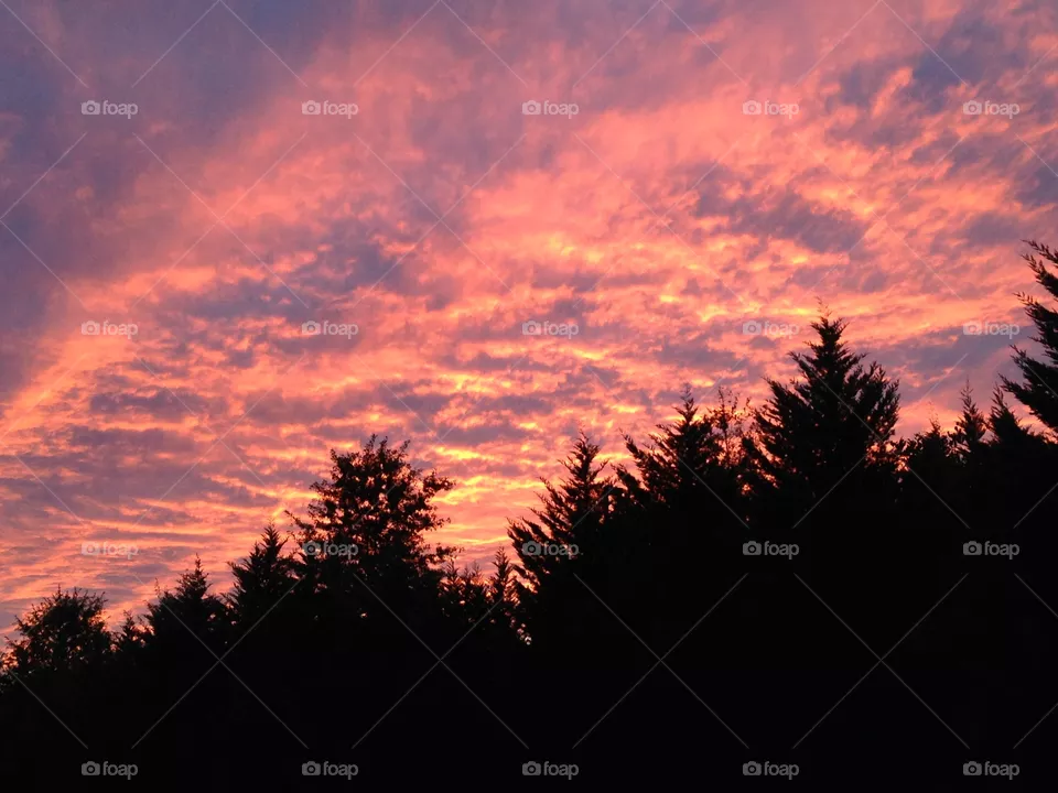 Sunset 2