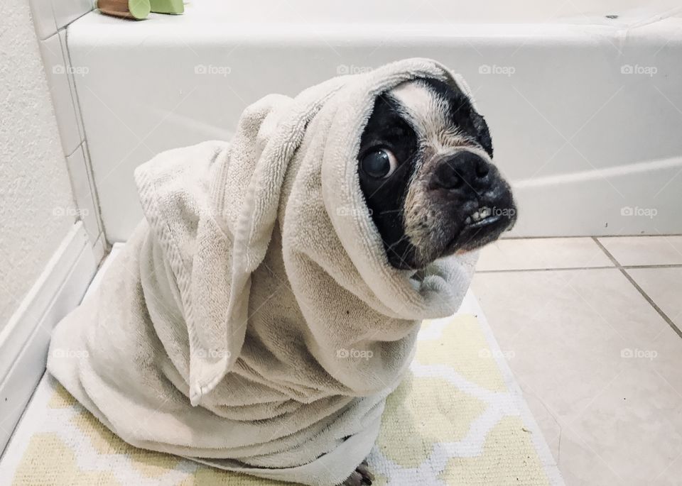 ET hates baths