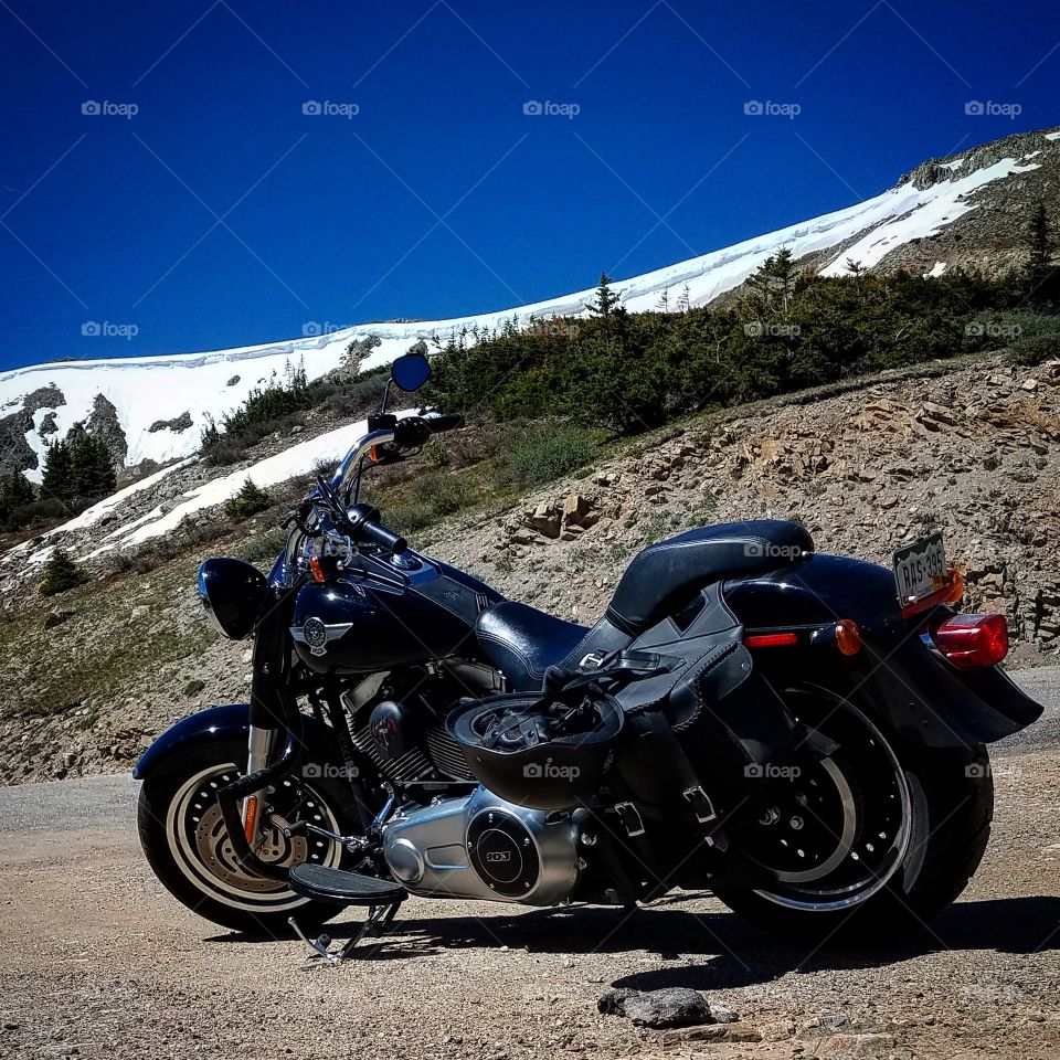 harley davidson snow