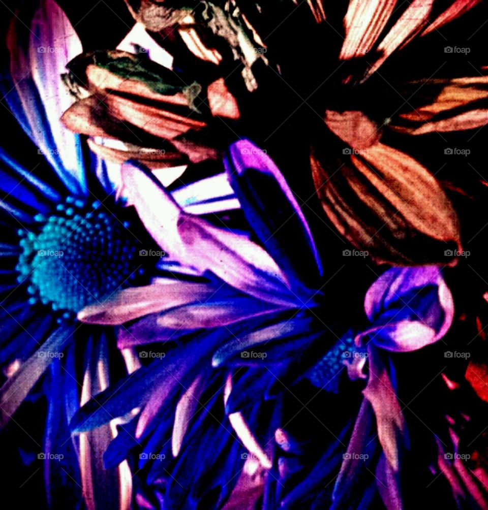 imagination. lighting effects