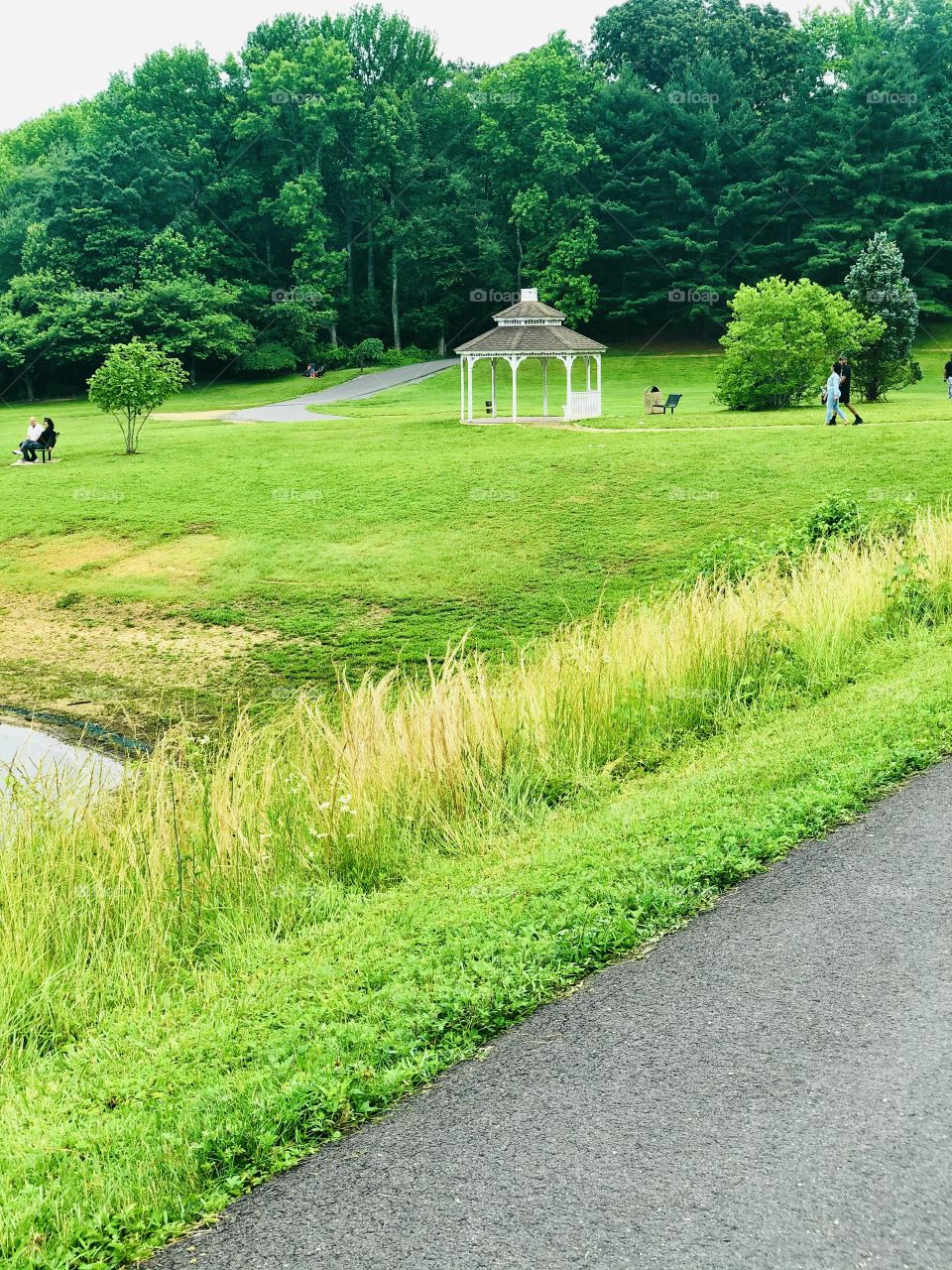 What a beautiful scene!