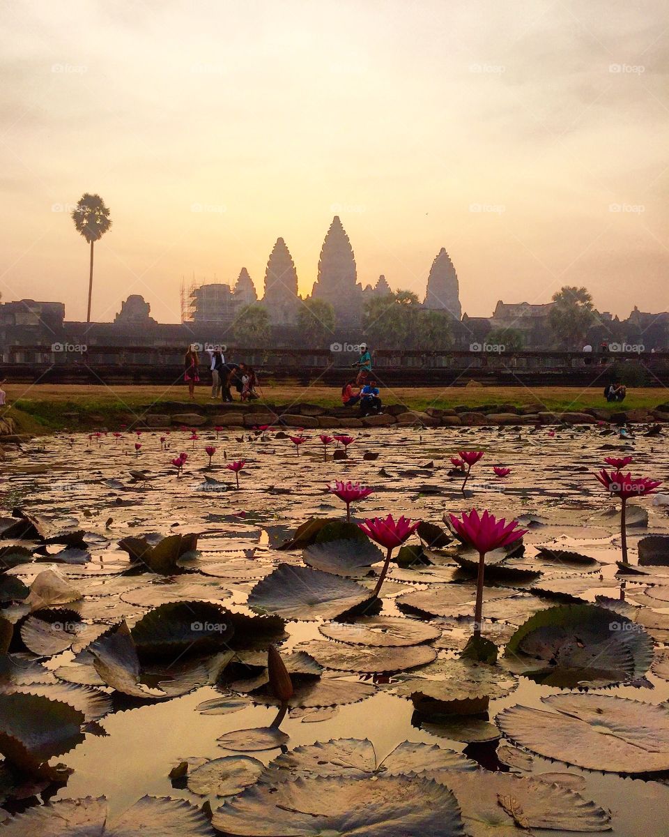 ankor wat