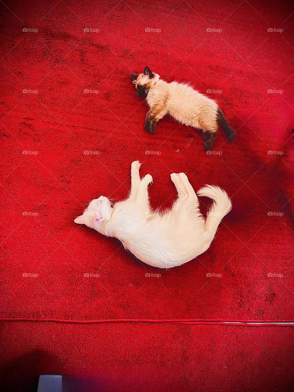 The beauty of life lies in contemplating it with your close friend.