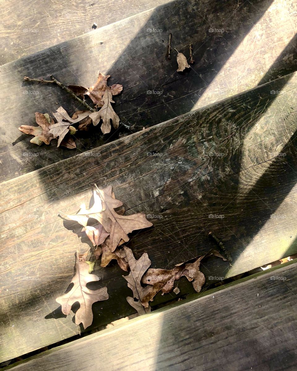 Shadow of railing on porch steps with leaves highlighted in sunlight 
