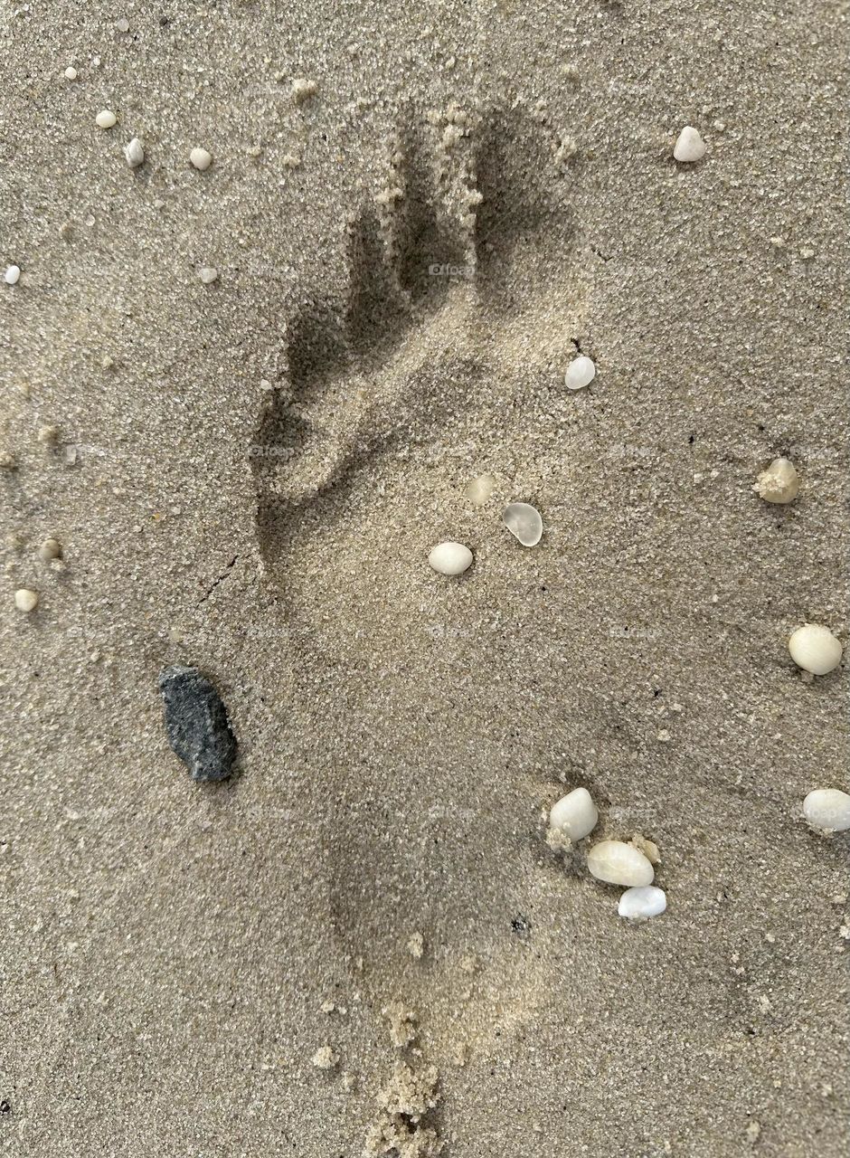 Footprint 